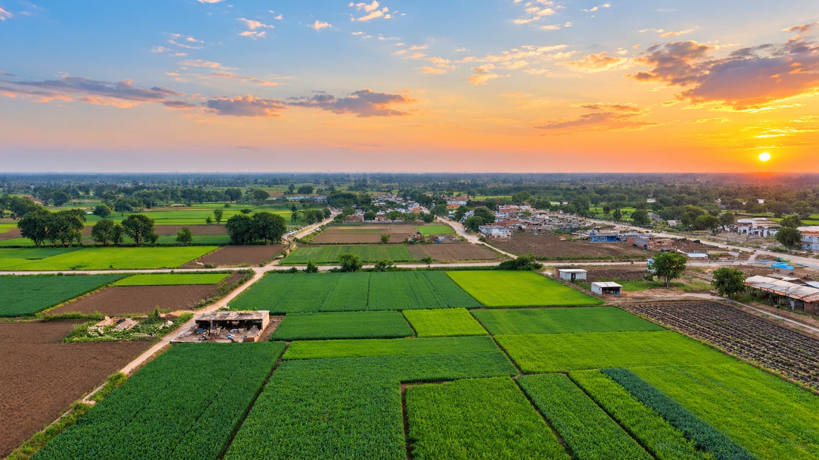 Agri & Future Investment Land