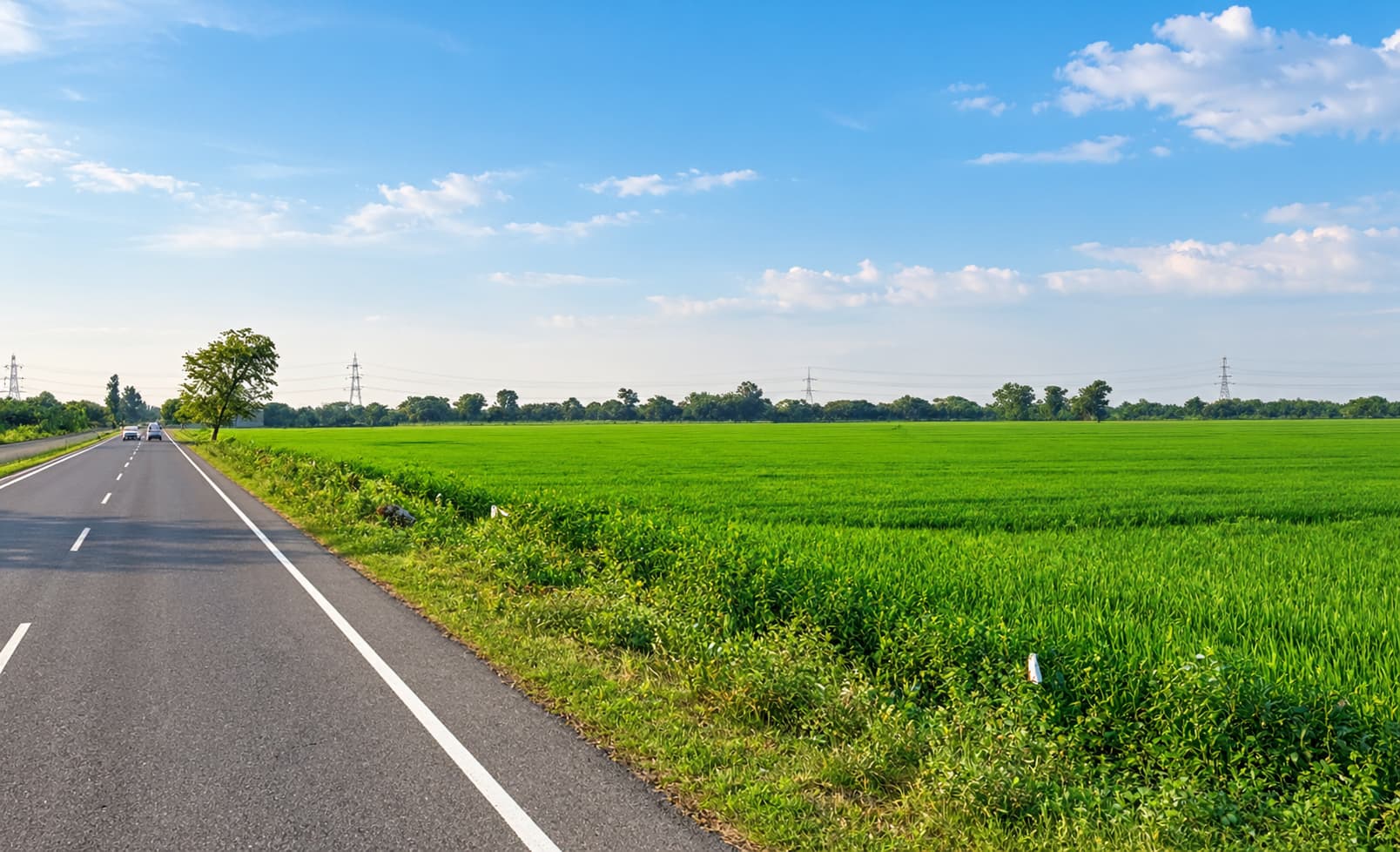 RAI HIGHWAY GREEN AGRI-LAND
