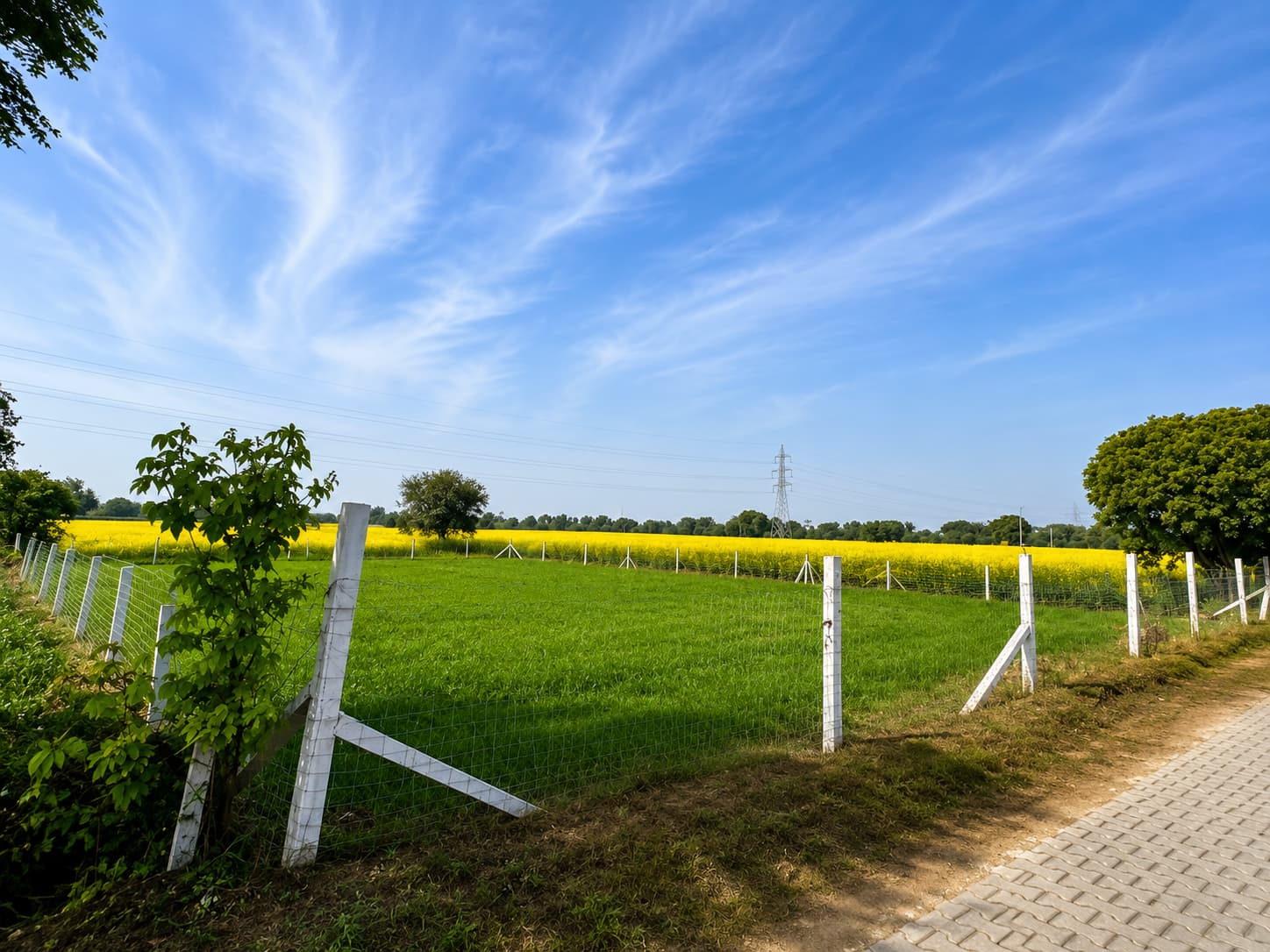 PREMIUM ECO-FARM RETREATS